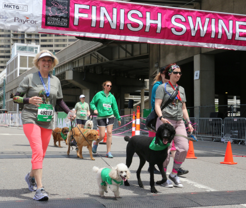 Runners and their dogs cross the finish line during the IAMS Flying Fur dog run in downtown Cincinnati, Sat., May 3, 2014. More than 500 dogs and owners ran in the two-mile race as part of races taking place during the Flying Pig Marathon weekend events. IAMS Bowls of Love will be donating a bag of pet food for each dog running in the event to the SPCA in Cincinnati. (Tom Uhlman/AP Images for IAMS)