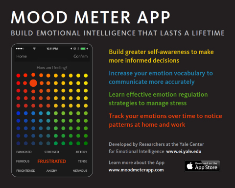 Mood Meter App: Build emotional intelligence that lasts a lifetime. (Graphic: Business Wire)