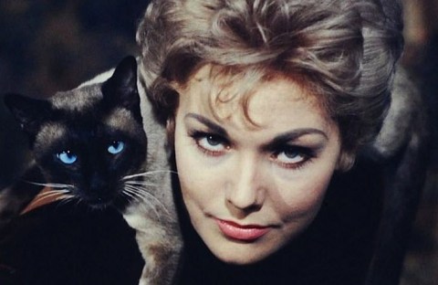 Kim Novak as Gillian 'Gil' Holroyd from the 1958 film 'Bell Book and Candle' (Photo: Business Wire)