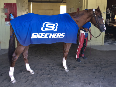 California Chrome prepares for the Belmont Stakes in SKECHERS-branded gear. Leading up to the race o ... 