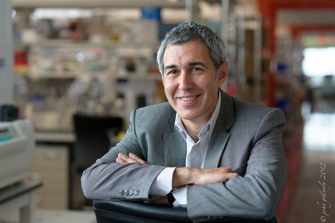 José-Carlos Gutiérrez-Ramos, Ph.D., Senior Vice President and Head of BioTherapeutics R&D and Pfizer Cambridge Site Head 
(Photo: Business Wire)