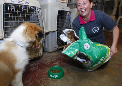 IAMS, celebrates the 5 millionth meal donated through corporate cause program, IAMS Bowls of Love with Usher and Michelle Hardwick, right, at 4 Paws for Ability. Since July 1, 2013, IAMS Bowls of Love has donated 5 million meals, or 2,500 tons of pet food, to more than 160 animal shelters/rescues across the U.S. to help pets in need. Wednesday, June 18, 2014 in Xenia, Ohio. (Photo by Tony Tribble/Invision for IAMS/AP Images)