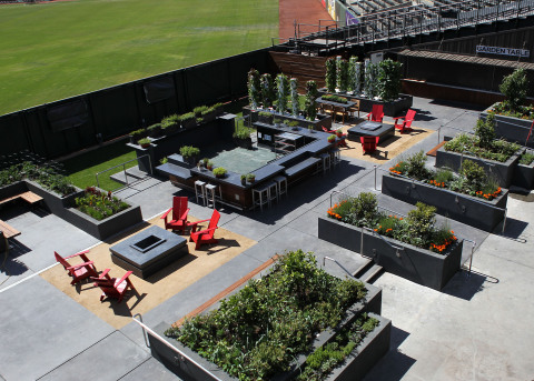 The Garden at AT&T Park will offer fresh fruits and vegetables for Bon Appetit Management Company's ballpark menus as well as a community space for culinary education. Credit: Suzanna Mitchell/SF Giants