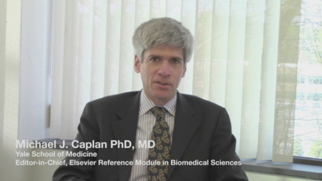 Dr. Michael Caplan, editor-in-chief of the new Elsevier Reference Module in Biomedical Sciences, comments on the challenges facing life and biomedical science researchers today. He also discusses how Elsevier's new Reference Modules are trustworthy, current and discoverable, and may improve the research process. (Video: Business Wire)