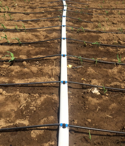 Utilizing an advanced, collapsible design, PolyNet is an innovative mainline and sub-mainline piping solution from Netafim that enables growers to easily install, recoil and relocate a drip irrigation system for use in an alternate field or different configuration. (Photo: Business Wire)