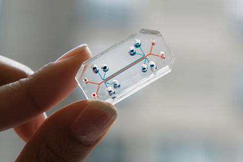The Emulate, Inc. Lung-on-Chip in the photo is lined with human lung and blood vessel cells to create a new living technology platform to emulate human biology

(Photo: Business Wire)