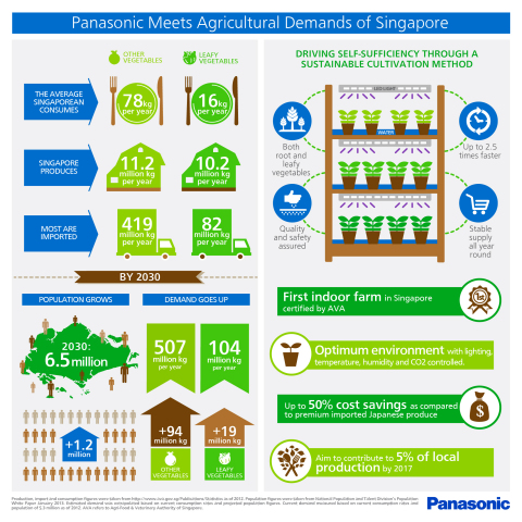 Infographic of Panasonic Vegetable Farm in Singapore (Graphic: Business Wire)