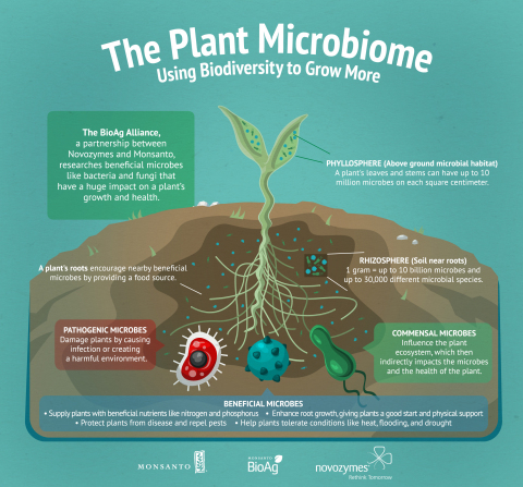 Microbiome Infographic (Graphic: Business Wire)