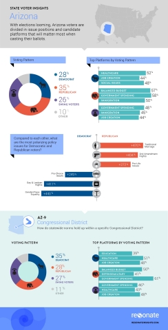 Arizona Voter Insights (Graphic: Business Wire)