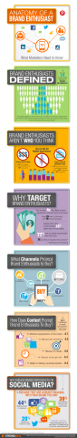StrongView 2014 Brand Loyalty Survey Infographic: Anatomy of a Brand Enthusiast (Graphic: Business Wire)