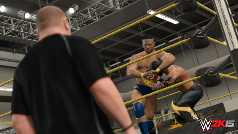 Making its debut as the first comprehensive, career-driven mode in WWE games history, MyCareer will take players through the life of a prospective WWE Superstar, allowing them to experience the journey of being a rookie and working toward the ultimate goal of winning the WWE World Heavyweight Championship. (Photo: Business Wire)