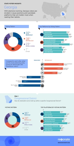 Key Issues for Georgia's Voters (Graphic: Business Wire)