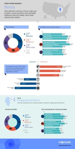 Key Issues for Illinois Voters (Graphic: Business Wire)