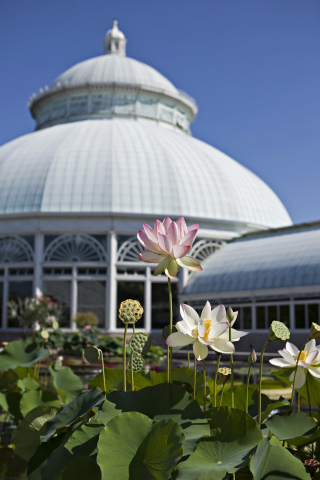 A Cigna Foundation grant will fund the work of Dr. Ina Vandebroek, an ethnomedical research specialist at The New York Botanical Garden. (Photo: Business Wire)
