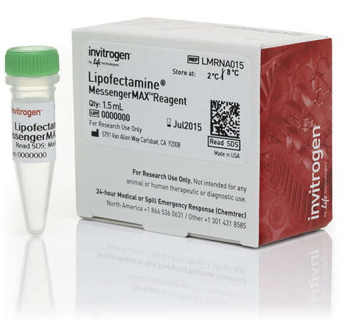 Lipofectamine MessengerMAX is Thermo Fisher's newest high-efficiency transfection reagent for mRNA delivery in primary cell types designed with up to five times the efficiency of DNA reagents. (Photo: Business Wire)