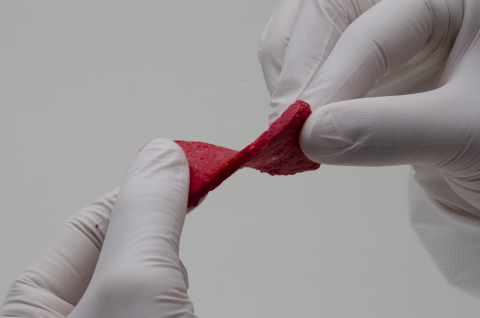 Compression resistant, formable and moldable Osteostimulative Bone Graft (Photo: Business Wire)