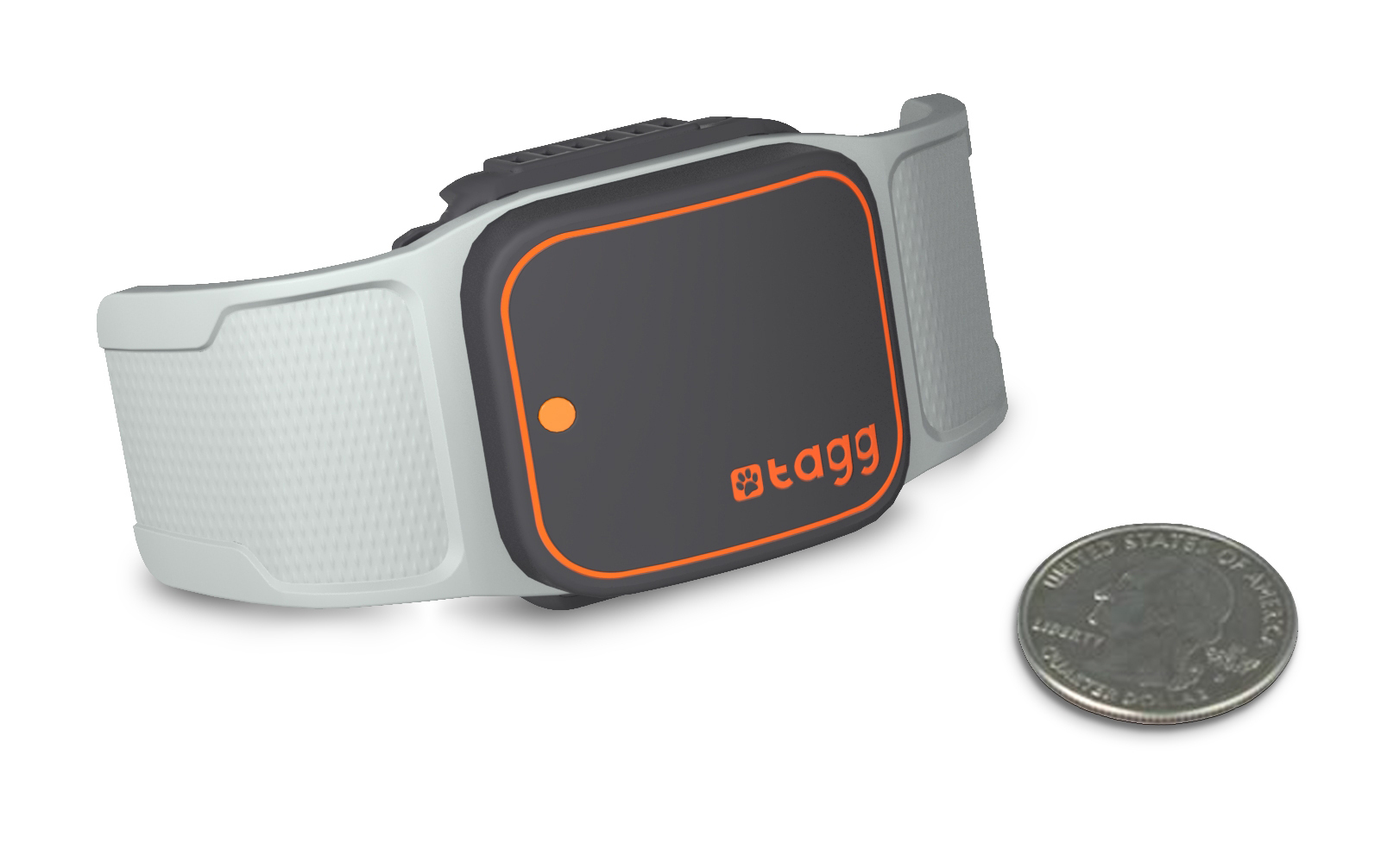 ADDING MULTIMEDIA Newest Wearable Pet Tracker From Tagg Reports