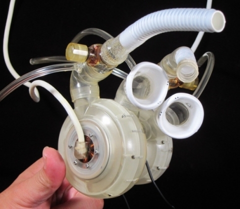 Actual model of helical flow total artificial heart (Photo: Business Wire)