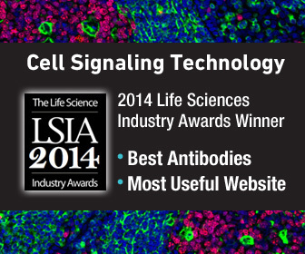 Cell Signaling Technology Wins "Best Antibodies" and "Most Useful Website" at The Life Science Industry Awards (Graphic: Business Wire)