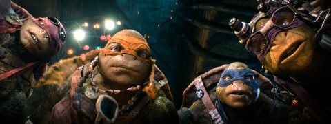 Cowabunga! Teenage Mutant Ninja Turtles’ First Week Blu-ray™ & DVD Sales Slice Their Way to Become the #1 Performing Home Entertainment Title of All 2014 Blockbusters (Photo: Business Wire)