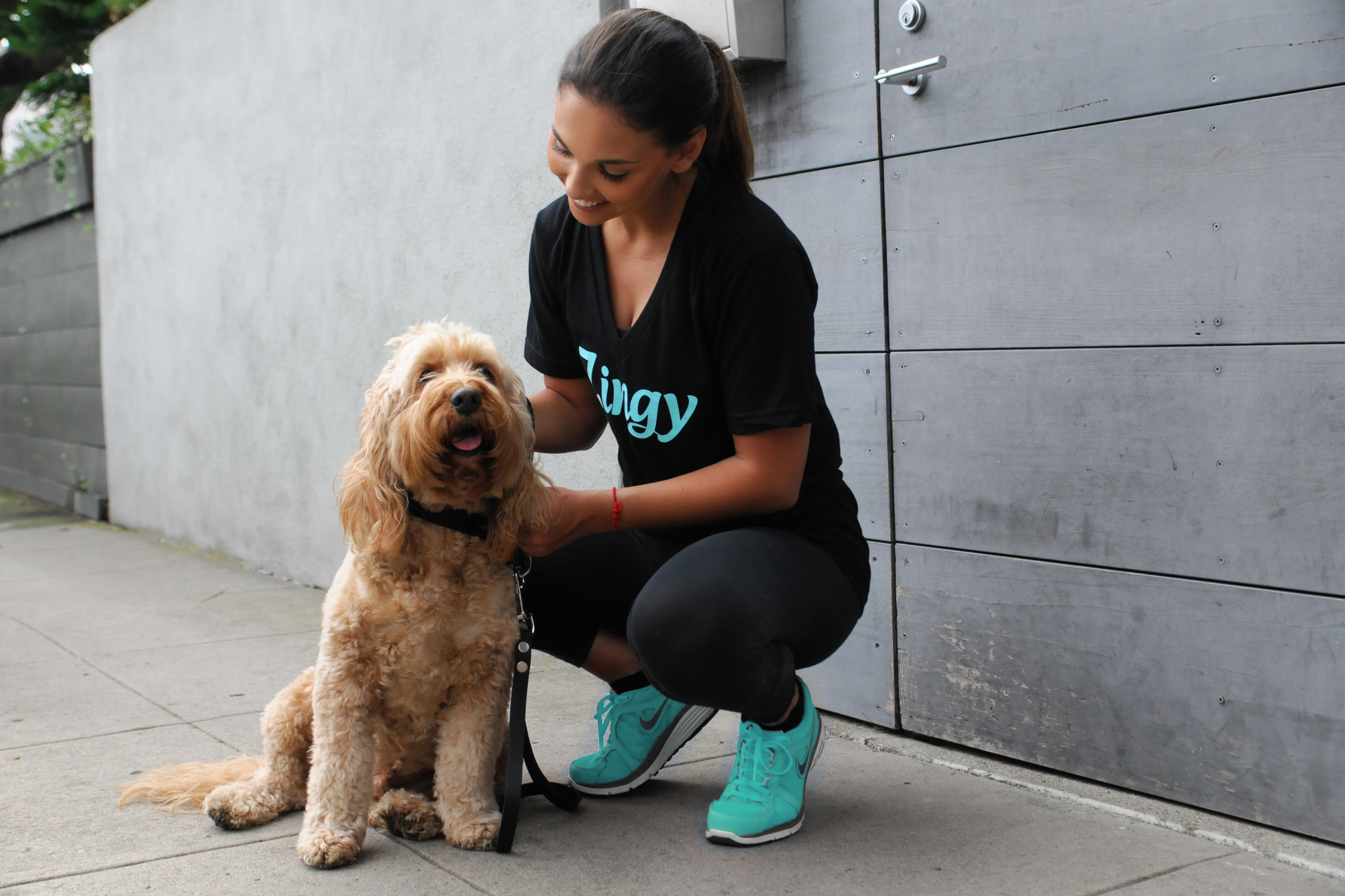 Zingy Pet™ Set to Create Hundreds of Jobs in Los Angeles | Business Wire