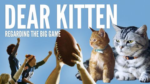 Friskies(R) to Air Kitten-Sized Ad During the Big Game (Photo: Business Wire)