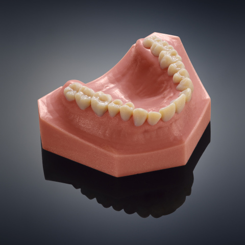 True to life dental model accurately depicts teeth and gingiva, produced in one print run on the new Objet260 Dental Selection 3D Printer from Stratasys. (Photo: Stratasys)