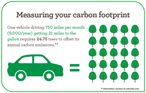 Measuring your carbon footprint (Graphic: Business Wire)