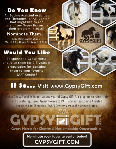 2015 Gypsy Gift Announcement (Graphic: Business Wire)
