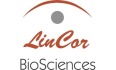 LinCor Biosciences Announces Funding for Development of Its       Bioengineered Cornea