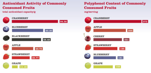 Cranberries contain more naturally occurring polyphenols than most other common fruits. New research presented at the 2015 Experiential Biology Conference in Boston suggests that consuming cranberries may have a positive effect on whole body health, including the management of blood sugar levels. (Graphic: Business Wire)