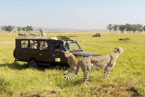 Kenya; Masai Mara; A&K Game Viewing