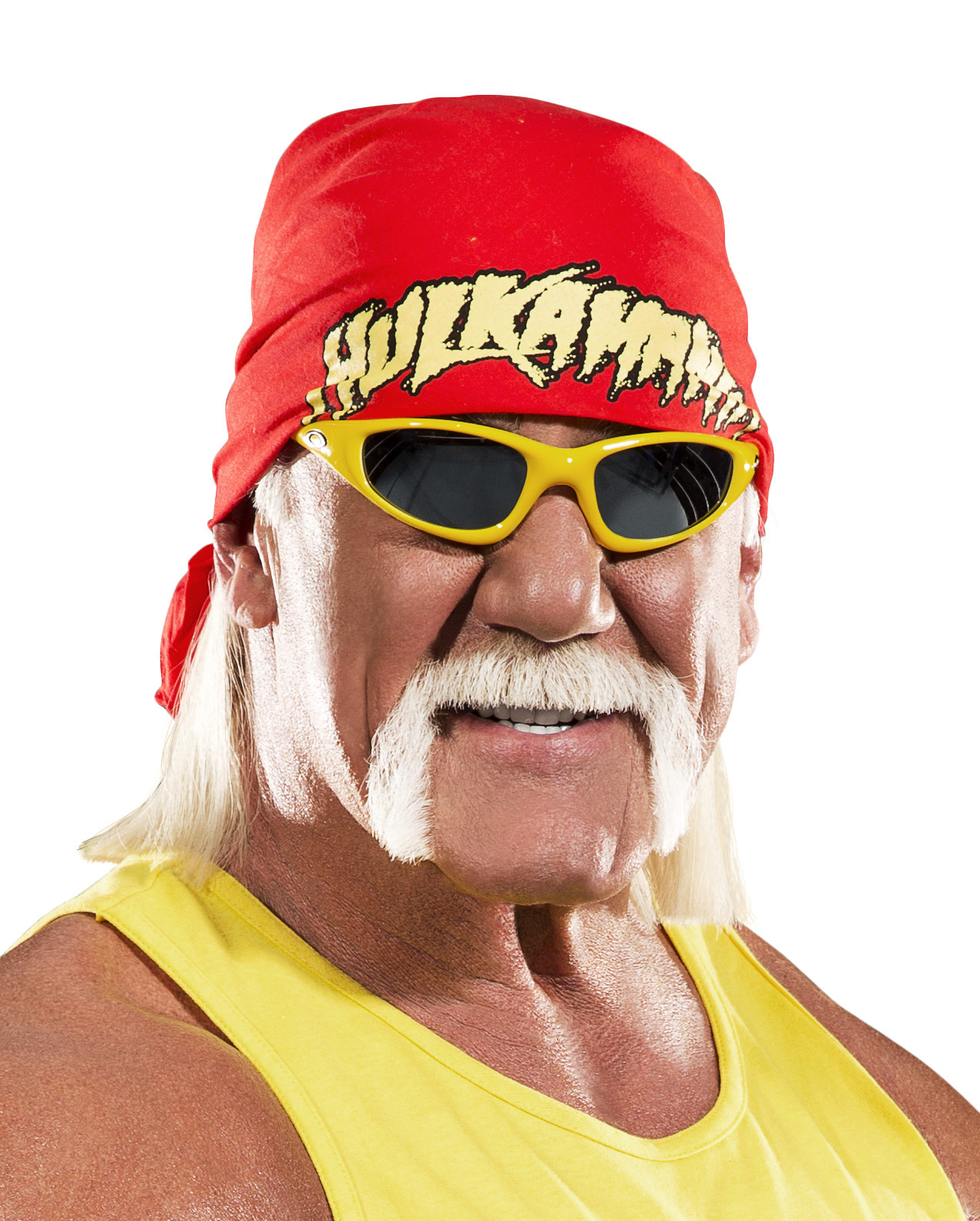 Hulk Hogan ®, Chris Jericho ®