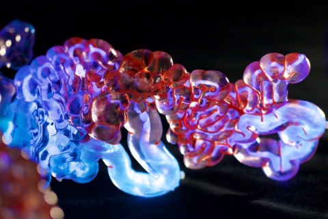 A piece of Mushtari filled with luminescent liquid. The fluid channels in the wearable, 3D printed by Stratasys, stretch to around 58 meters and inner channel diameters range from 1 mm to 2.5 cm. Photo credit: Jonathan Williams and Paula Aguilera, courtesy of Mediated Matter.