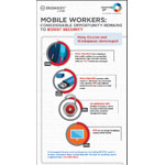 Infographic highlights key data points from the SANS Survey on "Securing Portable Data and Applications for a Mobile Workforce" (Graphic: Imation)