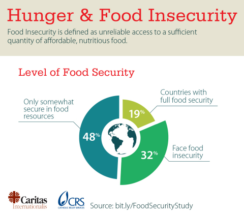 Caritas Internationalis Food Security Study (Graphic: Business Wire)