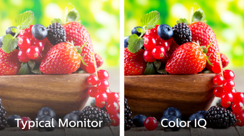 QD Vision&rsquo;s Color IQ quantum dots deliver vibrant, life-like images. (Photo: Business Wire)