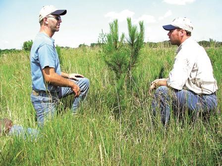Farm Bill biologists in North Dakota work with farmers and ranchers to determine the best conservation practices to fit their needs. This valuable service increases bottom lines for producers while benefiting pheasants, pollinators, and associated livelihoods throughout the state. (Photo: Business Wire)