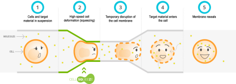 SQZ Biotech's CellSqueeze Technology (Graphic: Business Wire).