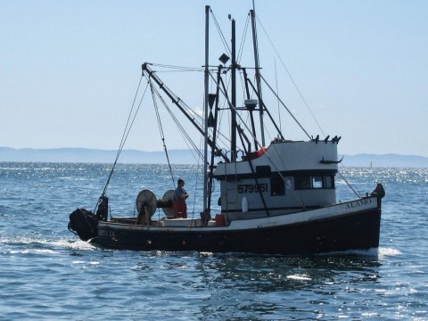Keller Rohrback and Lieff Cabraser Heimann & Bernstein have filed a class action lawsuit on behalf of those affected by the Refugio oil spill in Santa Barbara. Pictured is the Alamo fishing boat owned by Keith and Tiffani Andrews, plaintiffs in the case. (Photo: Business Wire)