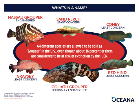 64 different species are allowed to be sold as "Grouper" in the U.S., even though about 36 percent are considered to be at risk of extinction by the IUCN.(Graphic: Business Wire)