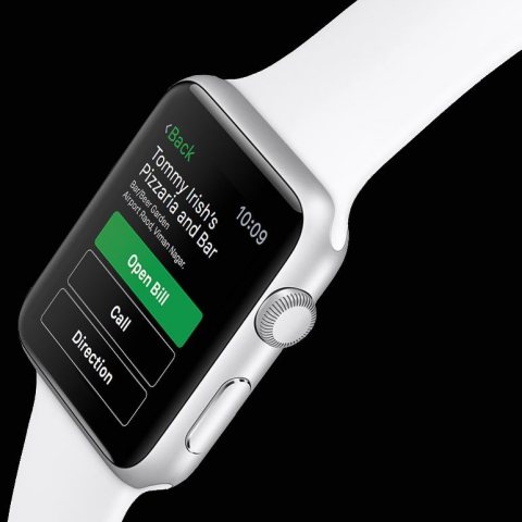 PaidEasy Apple Watch App (Photo: Business Wire)