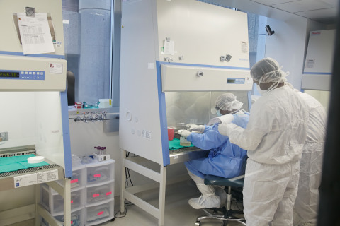 Cardiovascular Innovation Institute Investigator Dr. Balamurugan Appakalai removes the islet cells from the patient's own pancreas to later be infused back into his liver. (Photo: Business Wire)