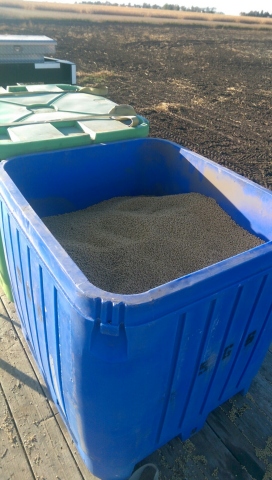 Calyxt Completes Second Year of Field Trials of its High Oleic Soybean ...