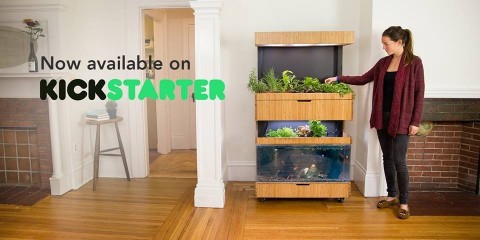 The Grove Ecosystem, now available for purchase on Kickstarter, is an intelligent, indoor garden that is set to change the way Americans think about and grow their own food. (Photo: Business Wire)