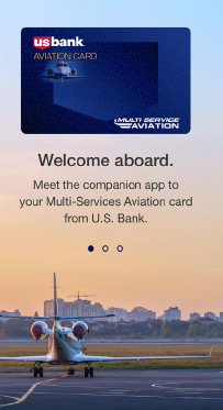 U.S. Bank Multi Service Aviation MSA Pay Welcome Page (Graphic: U.S. Bank Multi Service Aviation)