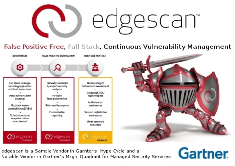 Continuous Vulnerability Management (Graphic: Business Wire)