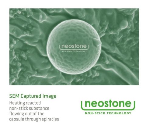 SEM Captured Image (Graphic: Business Wire)