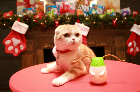 America’s most playful celebrity cat, Waffles, teamed up with Friskies® to showcase the must-have holiday gift for cats – Friskies® Pull ‘n Play™, which features Wobbert, a wobbly cat toy that can accommodate two treats at once: delicious Pull ‘n Play strings and Friskies® Party Mix™ treats. (Amy Sussman/AP Images for Friskies)