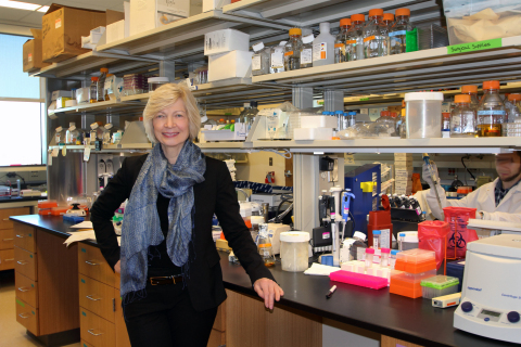 Dr. Ruth Ruprecht, Scientist and Director of the AIDS Research Program at Texas Biomedical Research Institute (Photo: Business Wire)